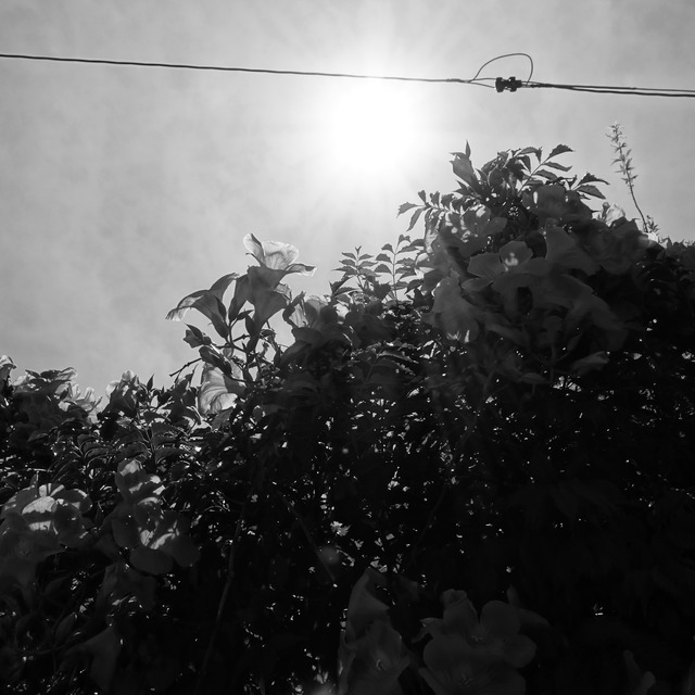 DSC01265
