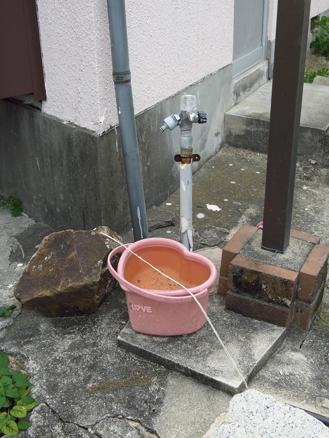 20221008_120121PA080109