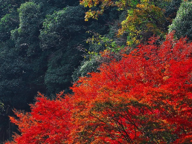 20221119_122116PB192931