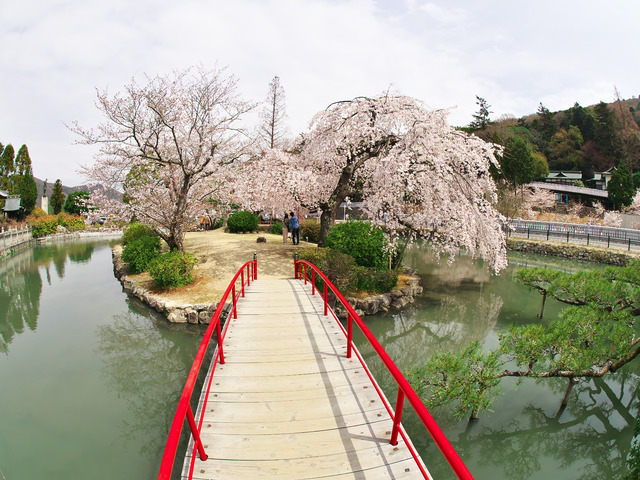 20220330_112630P3303325