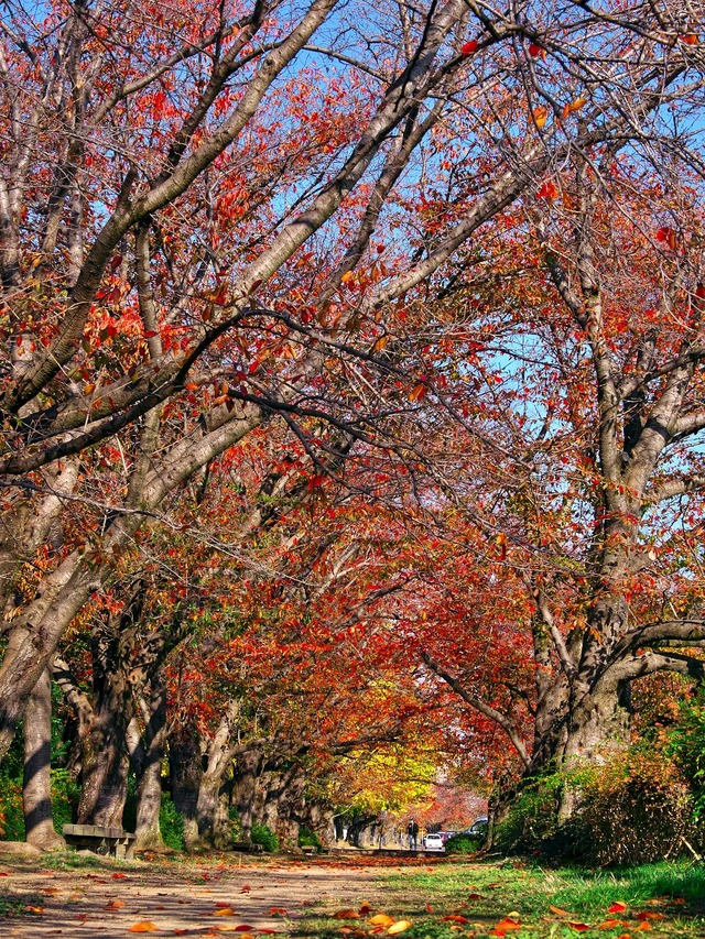 20221120_092210PB200959