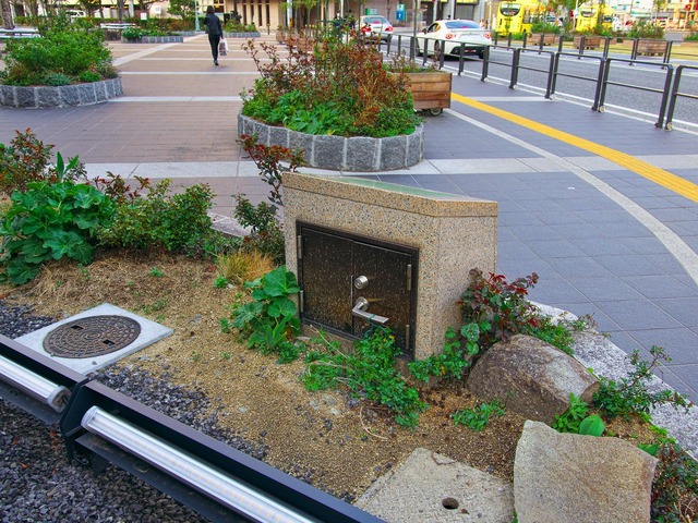 20230319_172631P3194176-230319-172631