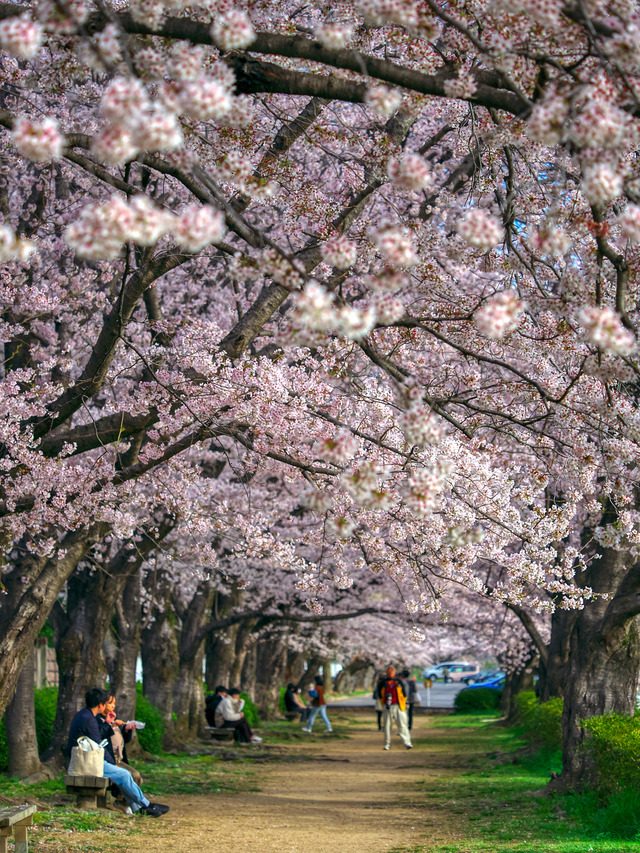 20220402_075435P4020237_10