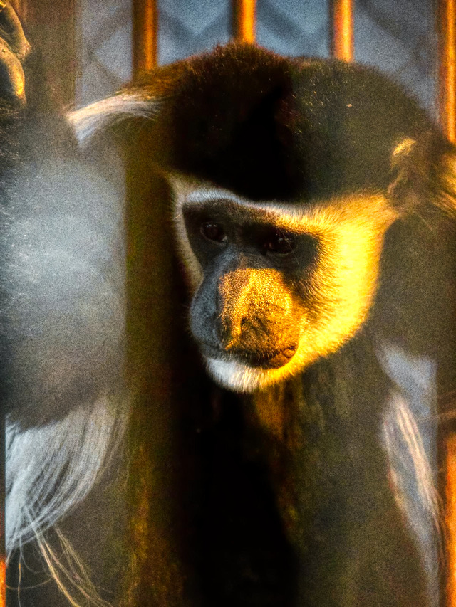 20221008_175645PA080960