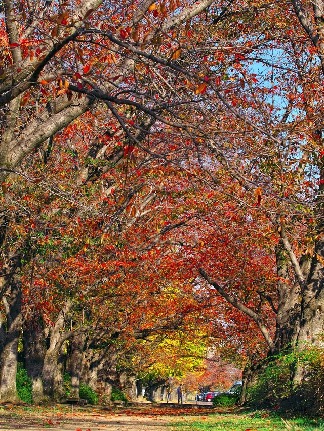 20221120_092131PB203158