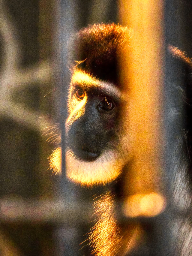 20221008_180556PA080998