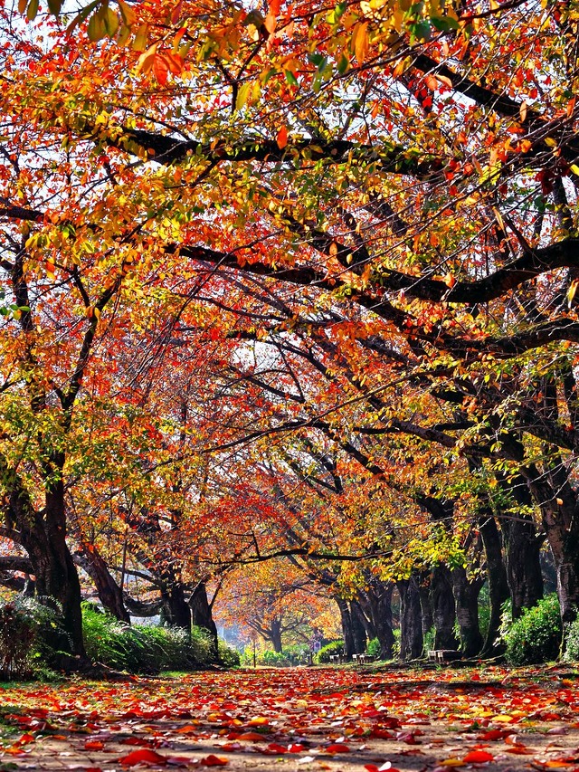 20221120_091734PB200943