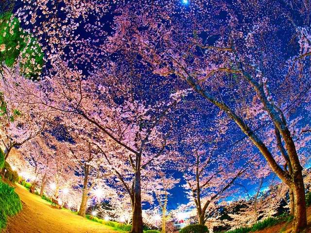 20230330_195656P3304954