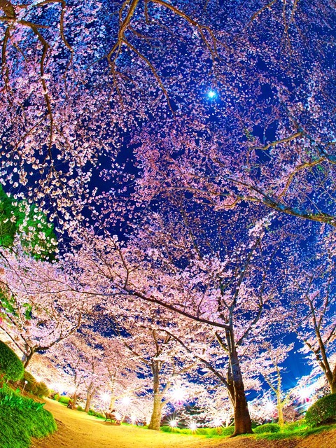 20230330_195731P3304955