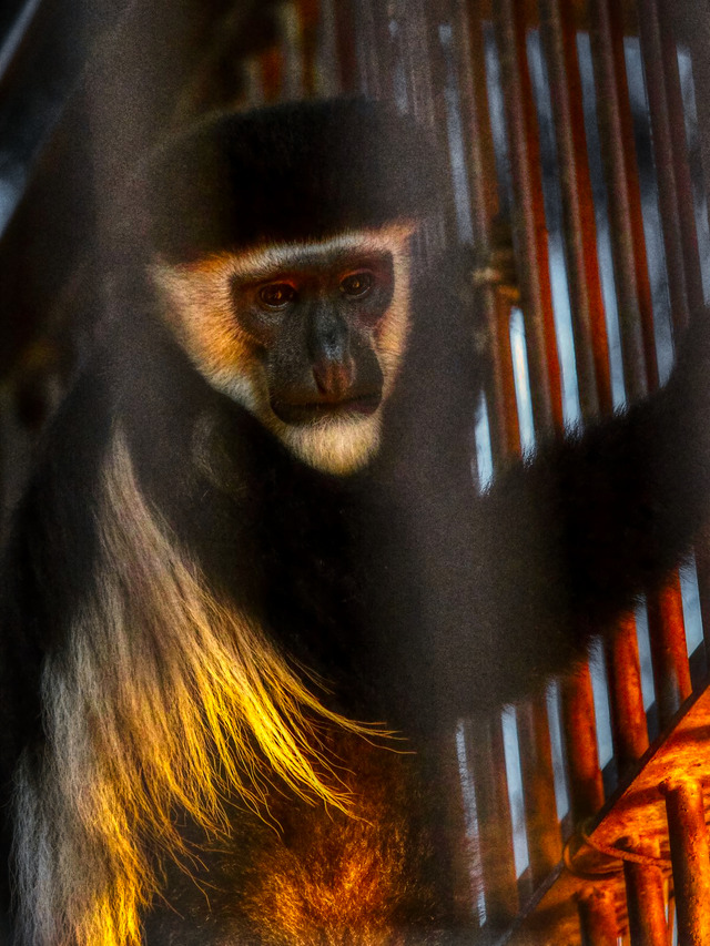 20221008_175556PA080953