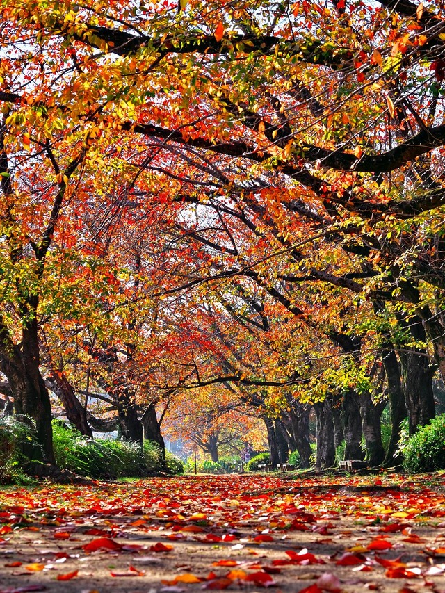 20221120_091738PB200947