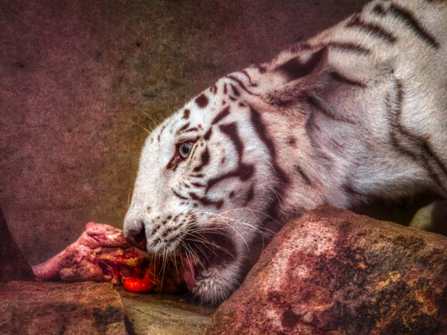 20221008_174719PA080933