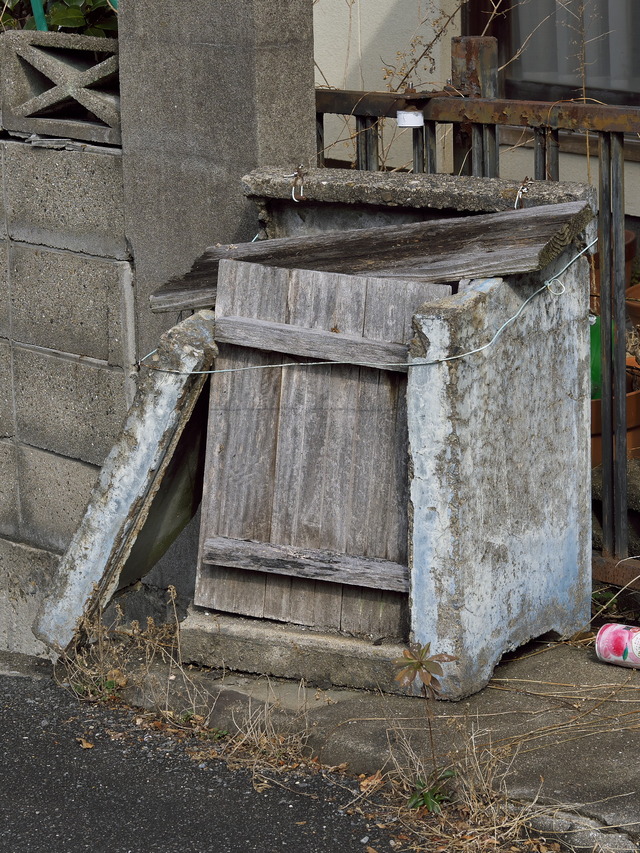 20220220_101650P2200975