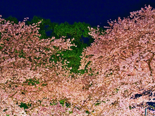 20230330_192316P3304924