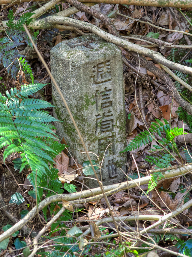 20220403_120303P4034050_40