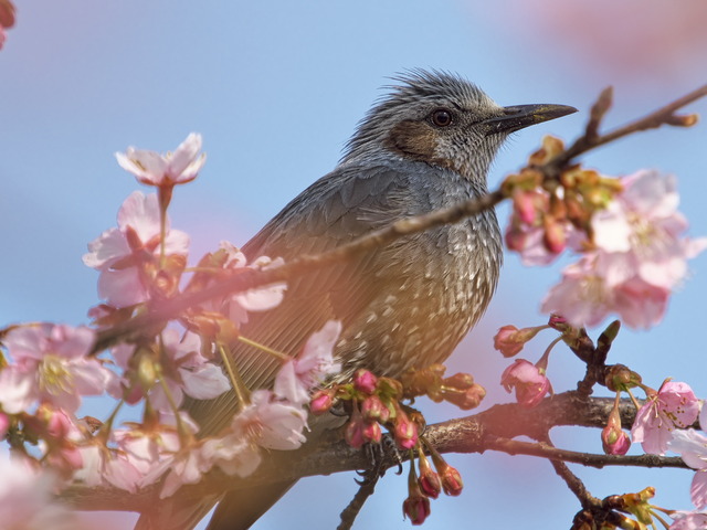 20220308_142412P3081265