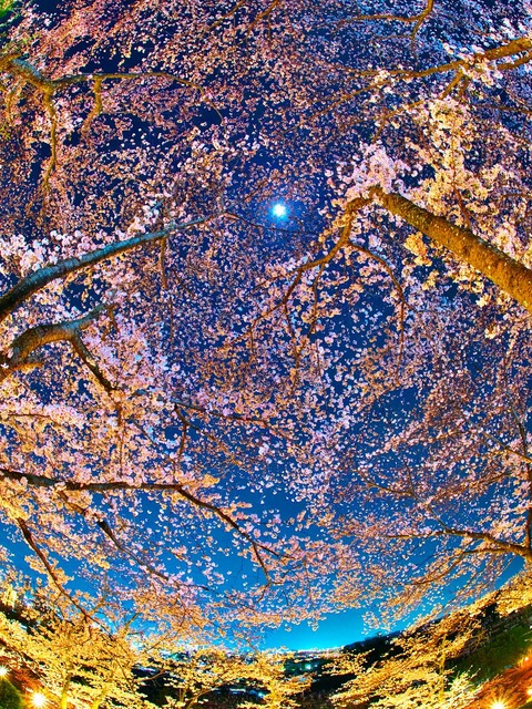 20230330_195502P3304952