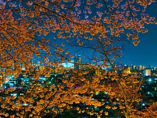 20230330_194736P3304944