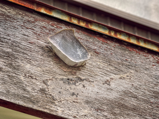 20220320_135051P3202074_320