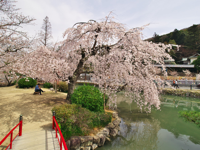 20220330_112745P3303334