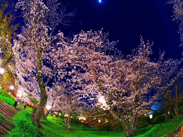 20230330_190455P3304905