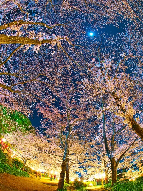 20230330_200956P3304963