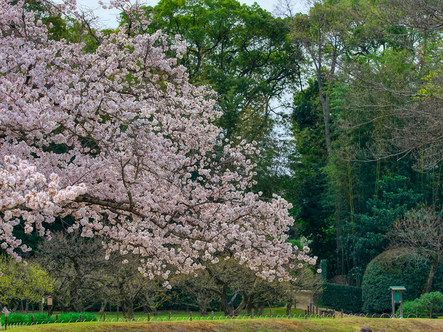 20220402_091125P4020368_15