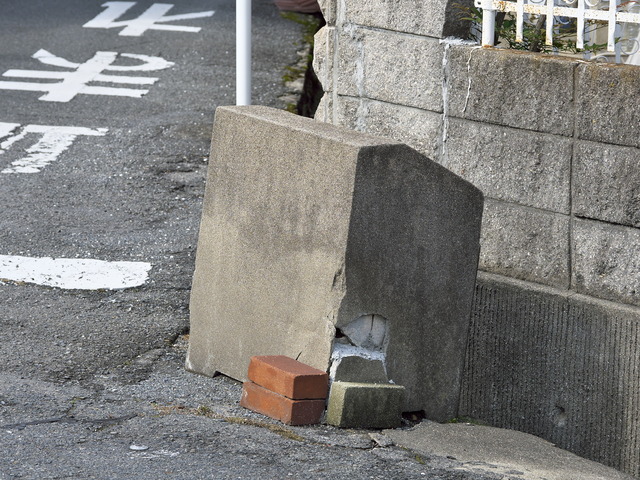 20220220_110544P2201082