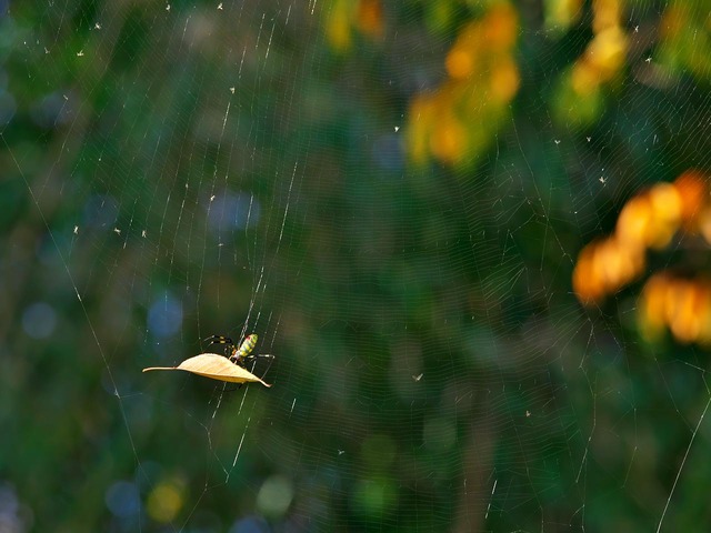 20221120_090825PB203095