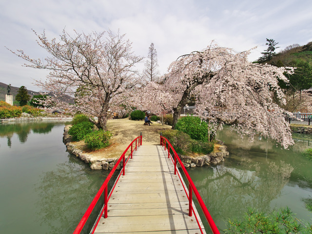 20220330_112735P3303331