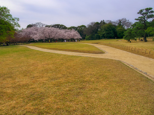 20220402_091308P4023989_16