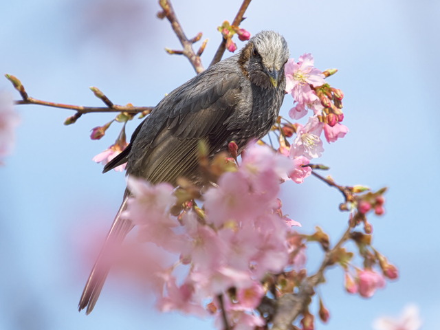 20220308_142502P3081296