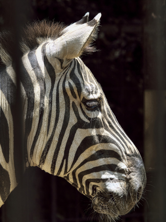 20220626_113811P6262692_1