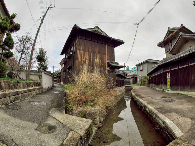 20220320_142432P3202907_374