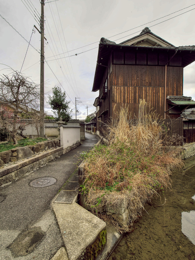 20220320_142311P3202897_367