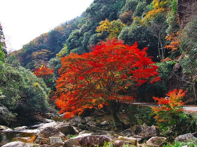 20221119_121835PB190870