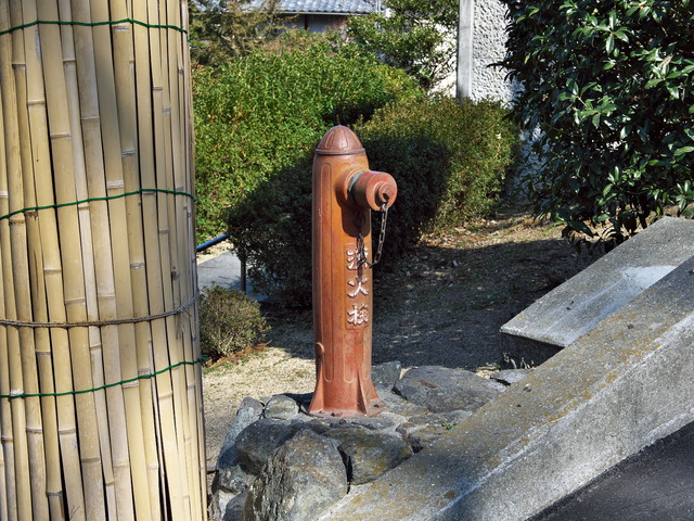 20220210_131110P2100433