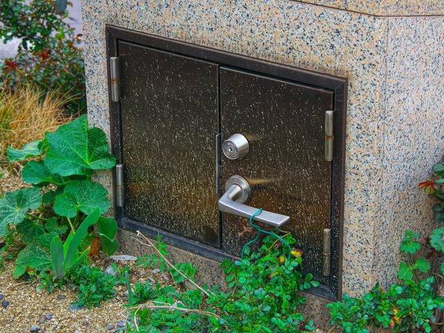 20230319_172635P3194178-230319-172635