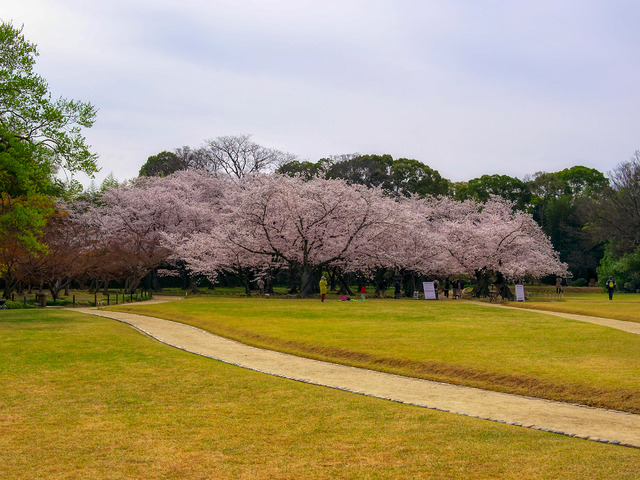 20220402_091317P4023991_17