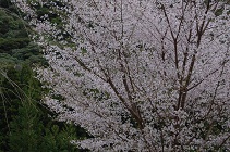 027