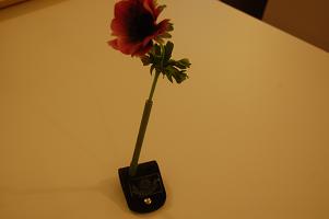 53700faa.jpg