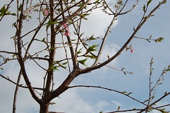 048