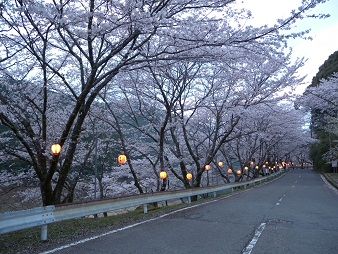 DSCN5183