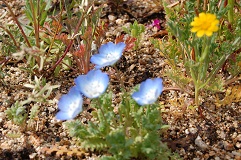 039