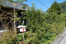 DSC_0031