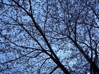 DSCN5189