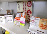 DSCF6981