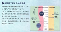 粘膜免疫2