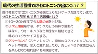 セロトニン2