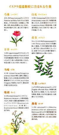 逍遥内容